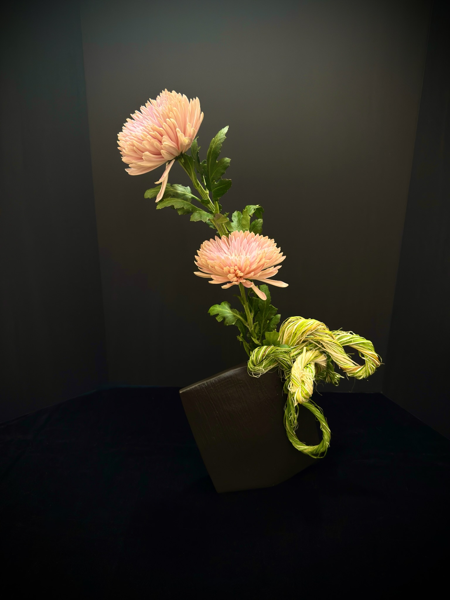 Design by Gail Ulkima