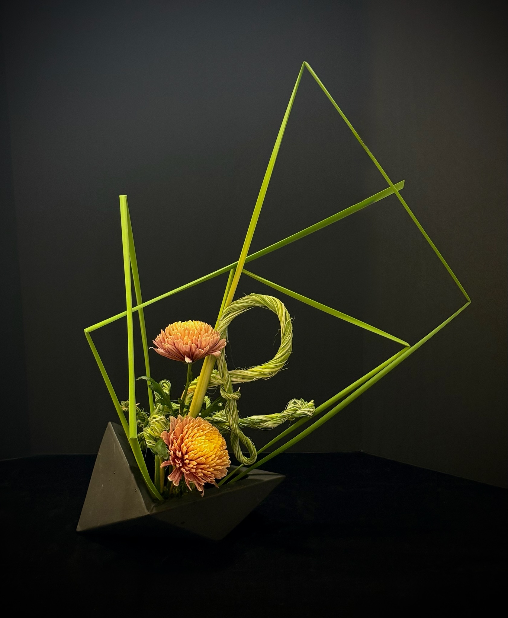 Design by June Liu