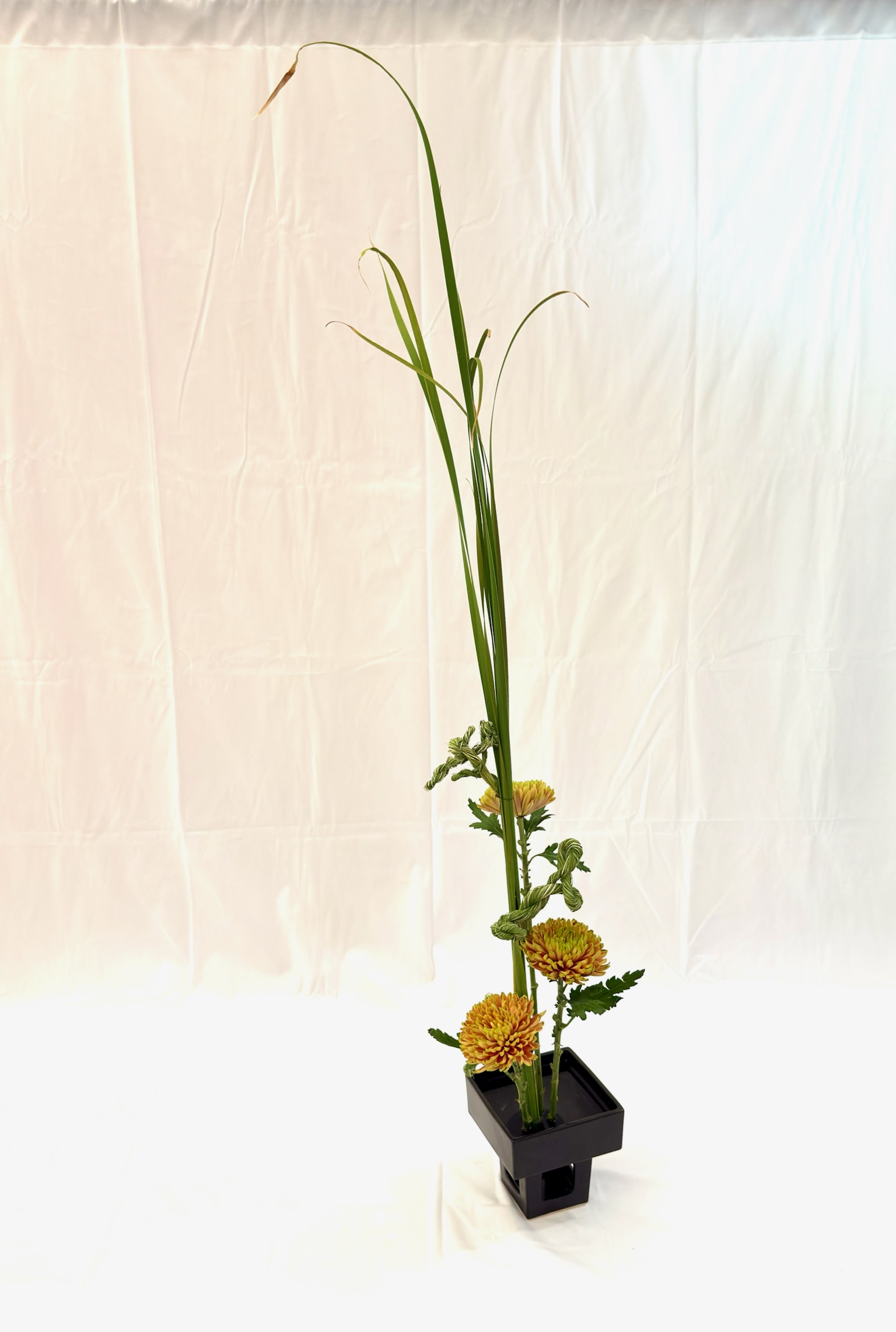Design by Laura Brainin-Rodriguez