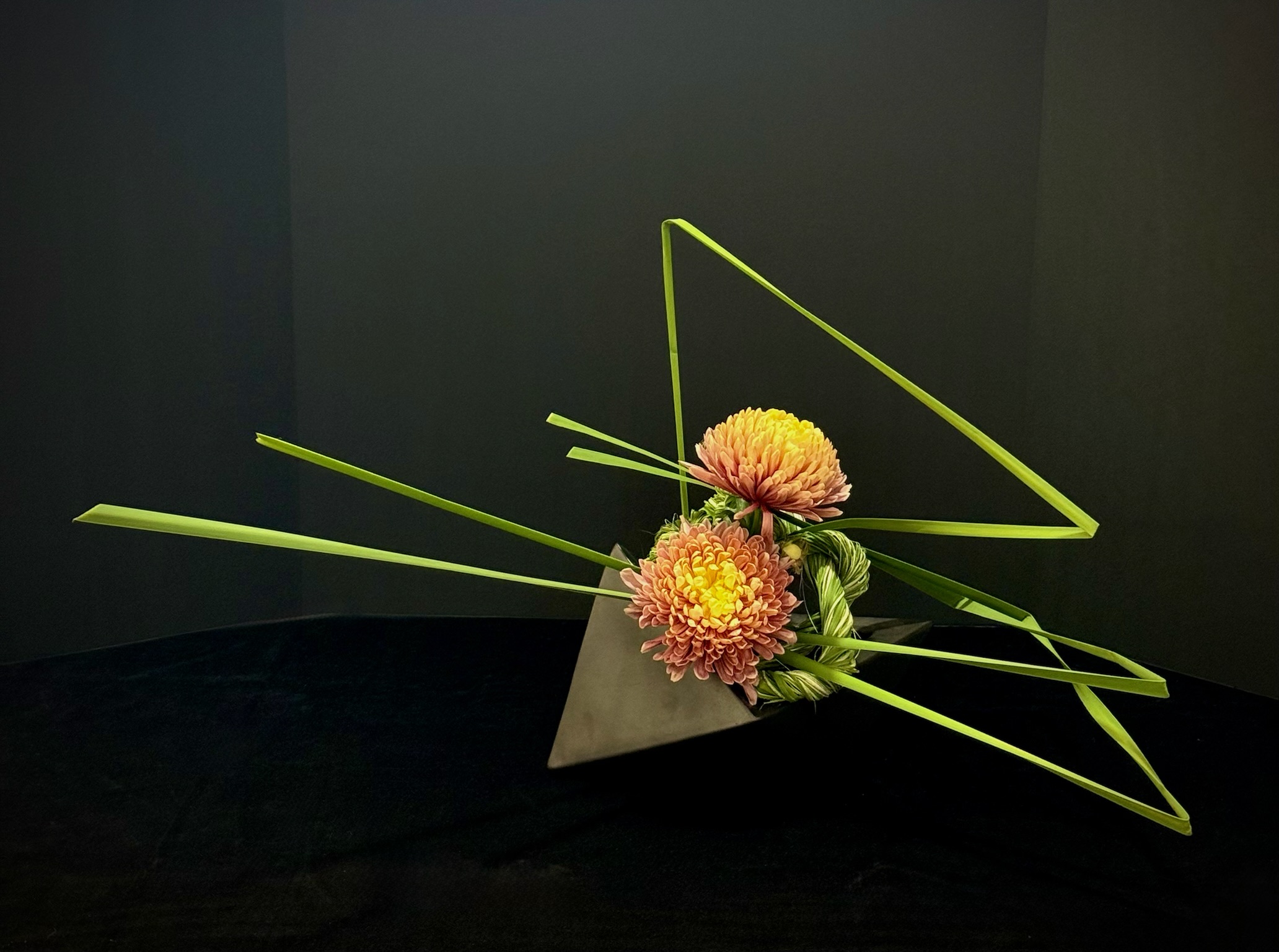 Design by Mari Tischenko