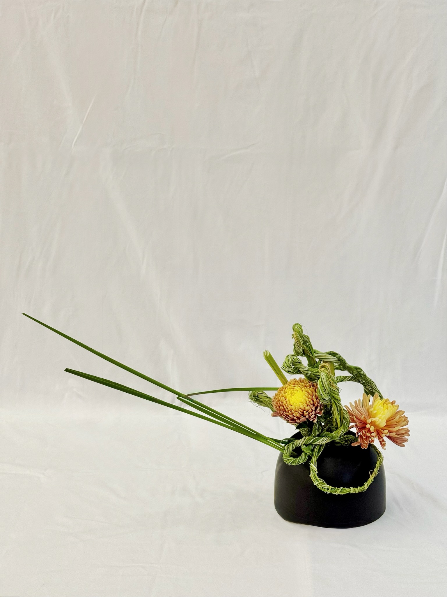 Design by Phoebe Kahl