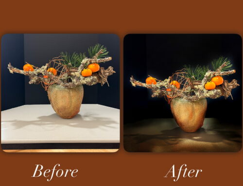 iPhone Photography Workshop, November 17, 2024